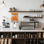 Commercial fruit juicer